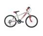 RALEIGH Zero G