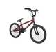 RALEIGH Burner1 