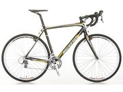    SCOTT CX Team