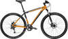     TREK Cobia