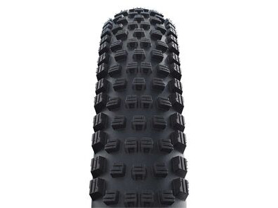SCHWALBE Wicked Will Performance Folding
